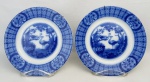 Par de pratos em porcelana inglesa azul borrão, com marca da manufatura Johnson Bross, decorados com flores, folhagens e pássaros em tons de azul. Diam. 22,5cm.