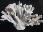 Escultura representando coral marinho em resina - Altura: 19 cm x 19 cm.