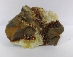 Mineralogia -Septariana - 4 cm - Origem : Madagascar