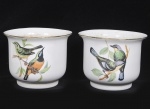 Par de Cachepots em porcelana branca, decoração pintada em esmalte a mão com aves e galhos, bordas filetadas a ouro. Med: 24 x 19cm