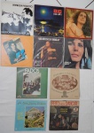 MÚSICA, dez (10) LPs: Geraldo Tavares, Uma Casa Branca da Serra 1980; Waldir Calmon, Feito Para Dançar; Grupo Folclórico João Ramalho, Dançares e Cantares; Fernanda Maria, Fados 1986; Maria Bethania, Talismã 1980; Amália Rodrigues, dois: Fado e outro Gravado no Canecão; Araken Peixoto, Um Piston Dentro da Noite; Rio, Hi-Fi.