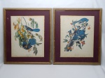 LITOS (reproduções coloridas), par (2) representando pássaros: BLUE JAY e FLORIDA JAY, emolduradas e envidraçadas, medindo com moldura 57,5 x 49 cm.