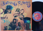 Burning Flames  Dig LP 1991 Reggae / Soca Excelente estado. Gravadora Mango 90's. Capa e disco em excelente estado.