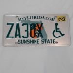 Linda placa americana de automóvel do estado da Florida, especial para portadores de necessidades especiais, medindo 15,5 x 30,5 cm