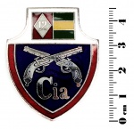 Militaria - Emblema da PE, peça de excelente qualidade de manufatura, esmalte em perfeito estado de conservação. Faltam os parafusos de fixação. A peça mede 4,5 cm de altura.