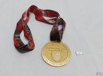 Medalha Heptacampeão Brasileiro do Clube de regatas do Flamengo. Medindo 7cm de diâmetro.