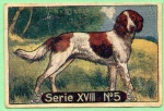 ANTIGA FIGURINHA ( ILUSTRANDO UM CÃO ) FÁBRICA DE BALAS E BOMBONS " A HOLLANDEZA "  ANOS 20/30