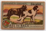ANTIGA ESTAMPA EUCALOL " CÃES DE RAÇA - CÃO DA TERRA NOVA " SÉRIE 55 ESTAMPA 4