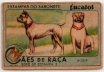 ANTIGA ESTAMPA EUCALOL " CÃES DE RAÇA - BOXER " SÉRIE 57  ESTAMPA 3