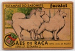 ANTIGA ESTAMPA EUCALOL " CÃES DE RAÇA - SPITZ - CÃO DE REGALO " SÉRIE 57  ESTAMPA 5