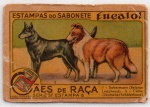 ANTIGA ESTAMPA EUCALOL " CÃES DE RAÇA - 1 DOBERMANN BELGIAN LEAPHEAD  /  2 COLLIE DEUTSCHER SCHAFERHUND " ... SÉRIE 57  ESTAMPA 6
