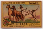 ANTIGA ESTAMPA EUCALOL " CÃES DE RAÇA - CÃO DE FILA " 1 E 2 DINAMARQUEZ E 2(3) ALLEMÃO   SÉRIE 55  ESTAMPA 3