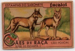 ANTIGA ESTAMPA EUCALOL " CÃES DE RAÇA - CÃO POLICIAL "  SÉRIE 55 ESTAMPA 2