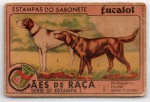 ANTIGA ESTAMPA EUCALOL " CÃES DE RAÇA - PERDIGUEIRO (1) POINTER (2) SETTER IRLANDEZ  SÉRIE 57  ESTAMPA 1