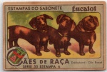 ANTIGA ESTAMPA EUCALOL " CÃES DE RAÇA - DACHSHUND - CÃE BASSÉ " SÉRIE 55 ESTAMPA 6