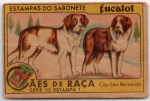ANTIGA ESTAMPA EUCALOL " CÃES DE RAÇA - CÃO SÃO BERNARDO  SÉRIE 55 ESTAMPA 1
