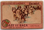 ANTIGA ESTAMPA EUCALOL " CÃES DE RAÇA - CÃO POLAR " SÉRIE 56  ESTAMPA 6