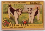 ANTIGA ESTAMPA EUCALOL " CÃES DE RAÇA - WIRE HAIRED TERRIER " SÉRIE 56  ESTAMPA 3