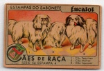 ANTIGA ESTAMPA EUCALOL " CÃES DE RAÇA (1) CÃO PEQUINEZ (2) CÃO MALTEZ (3) CÃO JAPONEZ "  SÉRIE 56  ESTAMPA 4