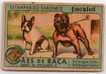 ANTIGA ESTAMPA EUCALOL " CÃES DE RAÇA  (1) BULLDOGGE ANÃO (2) BULLDOGGE INGLEZ  SÉRIE 56  ESTAMPA 5