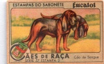 ANTIGA ESTAMPA DOS SABONETES EUCALOL " CÃES DE RAÇA - CÃO DE SANGUE "  SÉRIE 57  ESTAMPA 2