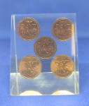 MOEDAS CANADENSES DATADAS DE 1983 - 1 CENT ( 5 PEÇAS ) ACONDICIONADAS NA RESINA ( ENCROSTADAS NA RESINA ) DIMENSÃO 5,0 x 6,0 cm  **** FRENTE 1,2 cm FUNDO COM 3,7 cm