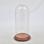 Antiga redoma de vidro com base redonda de madeira clara. 38 cm alt x 18 cm diam base