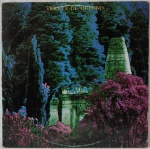 VIOLETA DE OUTONO-1987