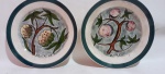 Pratos de coleção em cerâmica Prado com pintura Fruta do Conde e Romã . Medida  20 cm de diâmetro cada.