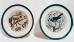 .Pratos de coleção em cerâmica Prado com pintura Papagaio  e Pássaro Preto  Medidas:  25 de diâmetro .
