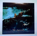 LP Original - Teté Espindola - Pássaros na garganta - Gatfold - Com encarte  - Ano 1982 - Medida: 32 x 32 cm.