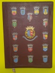 Antiga, linda e rara capa para livros em couro - Homenagem da cultura brasileira - A província  de Angola - Com estampa dos Brasões Das Províncias - Medida: 27,5 x 20,5 cm.