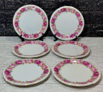 PORCELANA SALER - Maravilhoso jogo de 6 pratos para sobremesa em porcelana decorada por faixa de rosas em policromia na sua borda. Medem 19 cm de diâmetro cada.