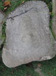 MESA TRONCO - Lindíssima mesa orgânica feita de tronco de amendoeira. Medidas 1,01 x 80. Obs. Vendida no estado, precisa ser trabalhada.