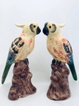 Duas esculturas, representando casal de cacatuas repousando sobre tronco, em faiança. Med. 27x15 cm.