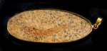 GRANDE PINGENTE EM OURO 18K CONTRASTADO E FÓSSIL DE PEIXE. PESO 12,3 GRAMAS MEDINDO 7 X 2,8CM.Assista ao vídeo.