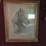 Quadro com representação de cavalo arabe do turcomenistão - Assinado reggio. Mede: 57x47 cm 