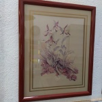 Antigo quadro gravura - Orquídeas -  Mede: 53x43  cm 