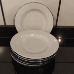 Jogo de 10 pratos  em ferro esmaltado brancos - excelente estados - Mede: 22 cm 