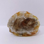 Mineralogia -Ágata Geodo - 3,8 cm