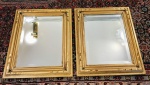 Elegante e lindo delicado par de espelhos finamente executados em cristal bisotado de excelente qualidade e manufatura. Enquadrado em linda moldura nova em madeira de lei ricamente entalhada de tonalidade predominante dourado. Molduras medem 43 x 53 cm cada. Ótimo estado de conservação.