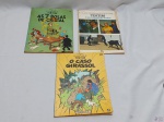 Lote de 3 quadrinhos "As aventuras de Tintim", sendo "Tintim e as laranjas azuis", "As 7 bolas de cristal" e "O caso girassol"