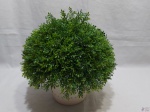 Vaso floreira em cerâmica vitrificada na cor branca, acompanha plantas artificiais para decoração. Medindo o vaso 14cm de altura x 17cm de diâmetro.