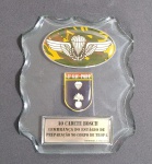 Exército Brasileiro - Linda placa ao Cadete Bosch - Lembrança do Estágio  de Preparação no Corpo de Tropa - 8º Grupo de Artilharia de Campanha Paraquedista - Placa em espessurado vidro, ostentando brasões e plaquinha em resina acrílica. Medida: 13 x 11 x 1,2 cm.