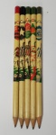 Lote de 5 Antigos Raros e colecionáveis Lápis Representando Times de Futebol - Medida de cada: 17,5 cm de comprimento.