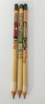 Lote de 3 Antigos Raros e colecionáveis Lápis Representando  XXXVI Congresso Eucarístico Internacional  - 1955 - Brasil- Rio de Janeiro - Medida Maior: 17,5 cm de comprimento.