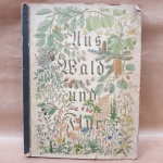 Álbum - Alemão de 1939 com matéria escrita e fotos coladas de bosques árvores e plantas, pequenas marcas do tempo e de uso.