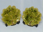 Dois pratos para sobremesa em cerâmica da Tchecoslováquia, forma de folhas em policromia. Marcados no fundo OTTO. Med. 17 x 17cm.