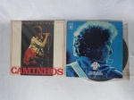 LP (2) - Dois LP's: "Caminhos", Raul Seixas, 1986; e "Bob Dylan's Greatest Hits: Vol.1", 1975.