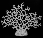 Escultura de coral marinho, em resina, na cor branca, pequenas faltas. Med. 35x43 cm.